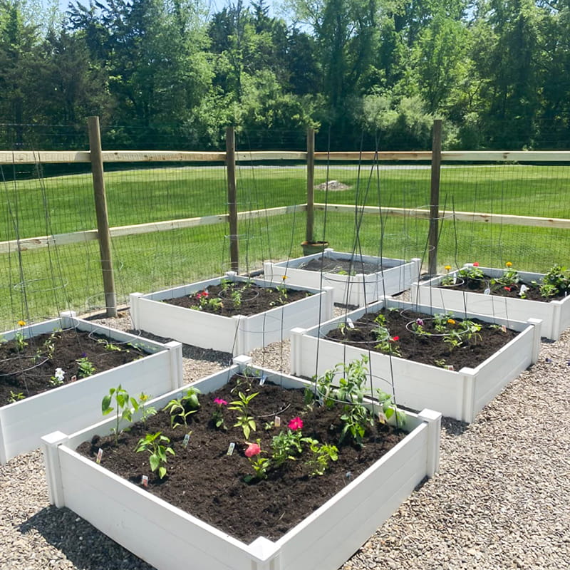 Tilpasset størrelse PVC hageseng